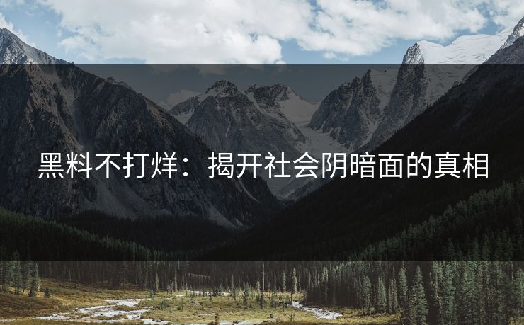 黑料不打烊：揭开社会阴暗面的真相