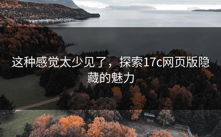 这种感觉太少见了，探索17c网页版隐藏的魅力