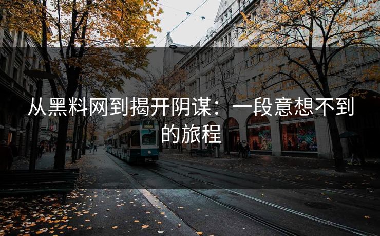 从黑料网到揭开阴谋：一段意想不到的旅程