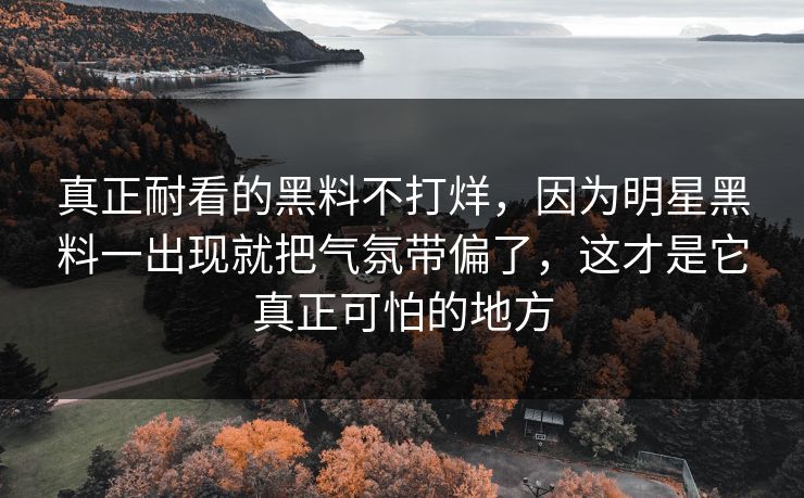 真正耐看的黑料不打烊，因为明星黑料一出现就把气氛带偏了，这才是它真正可怕的地方